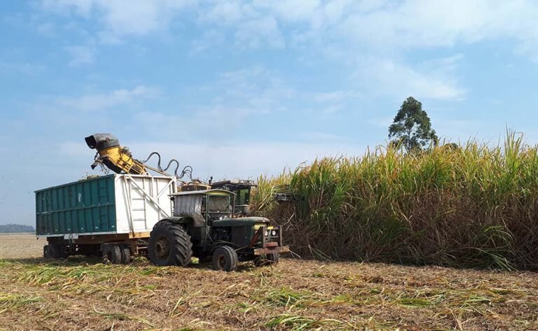 Se agrava el faltante de gasoil en el Norte y complica la cosecha de caña de azúcar, limón, maíz y yerba mate