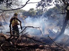 Jujuy registró 15 incendios en un solo día y preocupa la falta de prevención