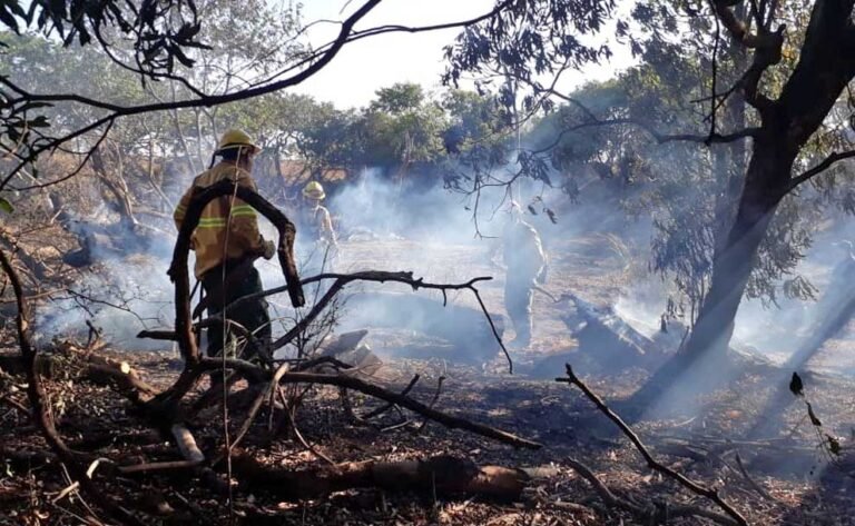 Jujuy registró 15 incendios en un solo día y preocupa la falta de prevención