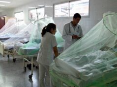 Dengue grave: cuáles son los síntomas y qué riesgo tiene una segunda infección