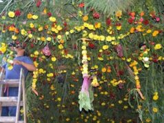 Calvario de Semana Santa: se realiza con cañas, flores frutas y verduras