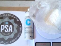 Traficaban droga desde Jujuy y Salta con destino al sur