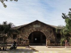 Un perro atacó y mordió en el rostro a una niña en Libertador