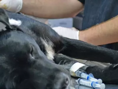 63422d7393da0__400x300