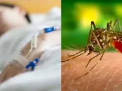 El mapa del dengue en la Argentina: cuáles son los distritos más afectados por el brote