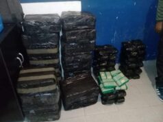 Se secuestraron más de 120 kilos de coca en estado natural
