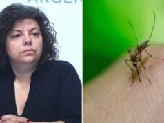Carla Vizzotti advierte que el brote de Dengue no está controlado