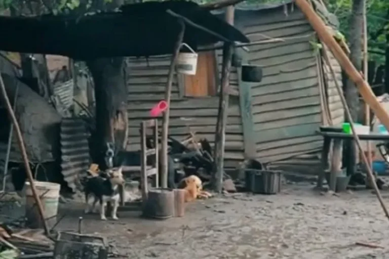 El insólito spot de un candidato a intendente que propone «cagar en un baño decente»