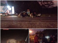 San Pedro: un automóvil chocó con un caballo en ruta 34 dejando cuatro heridos