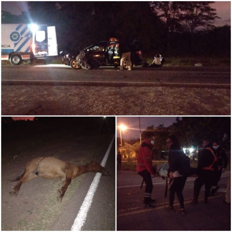 San Pedro: un automóvil chocó con un caballo en ruta 34 dejando cuatro heridos