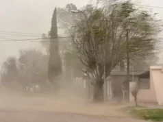 Por las fuertes ráfagas de viento, se produjeron caídas de árboles y voladuras de chapas en la Quebrada