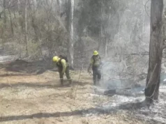 Incendios forestales: las Yungas continúan siendo la zona roja de Jujuy