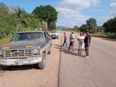 Detienen a dos cuatreros en Palma Sola