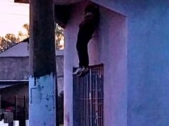 Un ladrón quiso robar una casa, quedó atrapado y murió de la manera más insólita
