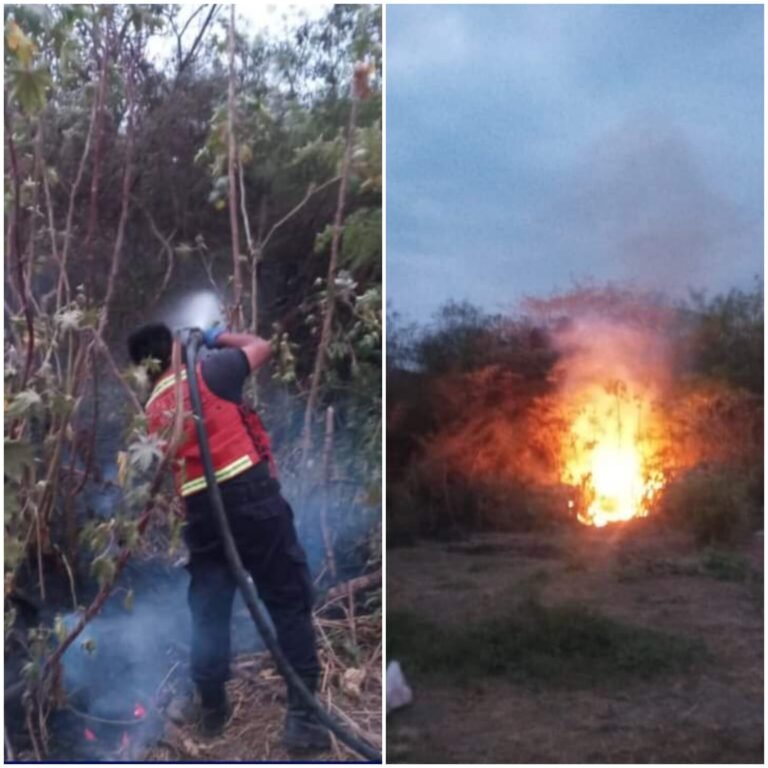 La Mendieta: Incendio de Pastizales en Barrio 23 de Agosto